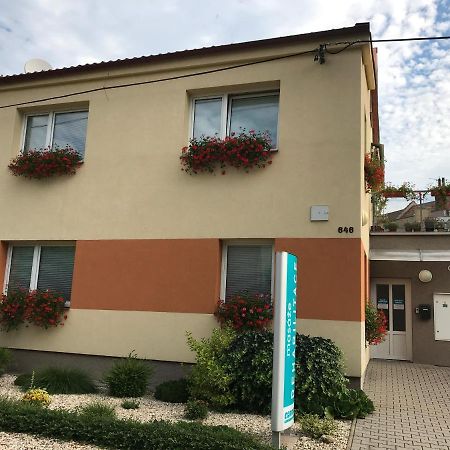 Apartment Corriger Ústí nad Orlicí Exteriör bild