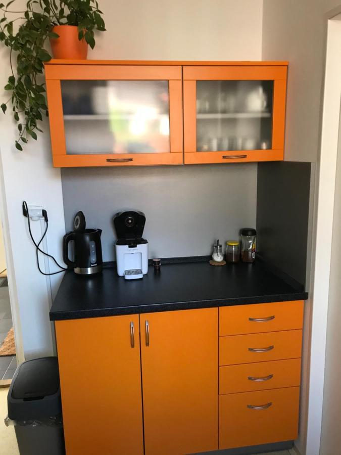 Apartment Corriger Ústí nad Orlicí Exteriör bild